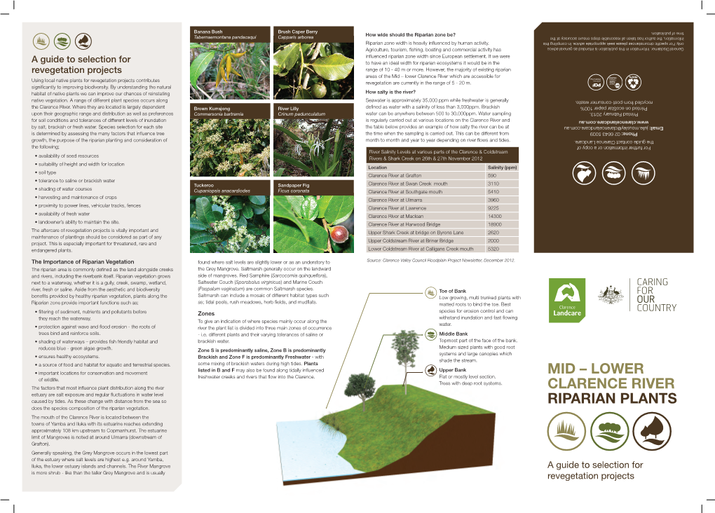 Mid – Lower Clarence River Riparian Plants – a Guide to Selection for Revegetation Projects