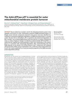 The AAA-Atpase P97 Is Essential for Outer Mitochondrial Membrane Protein Turnover