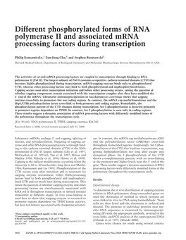 Different Phosphorylated Forms of RNA Polymerase II and Associated Mrna Processing Factors During Transcription
