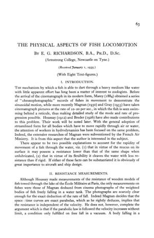 The Physical Aspects of Fish Locomotion