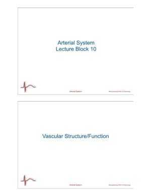 Arterial System Lecture Block 10 Vascular Structure/Function