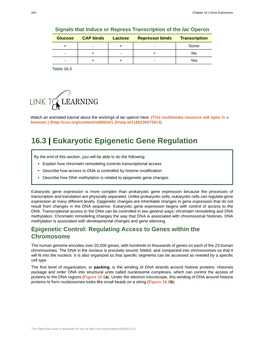 Eukaryotic Epigenetic Gene Regulation