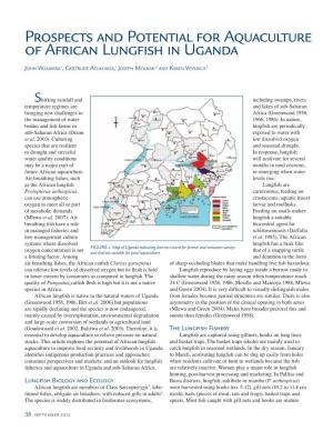 Prospects and Potential for Aquaculture of African Lungfish in Uganda