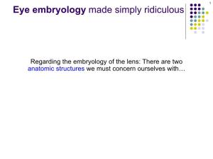 Eye Embryology Made Simply Ridiculous