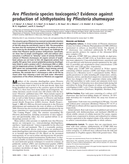 Evidence Against Production of Ichthyotoxins by Pfiesteria Shumwayae