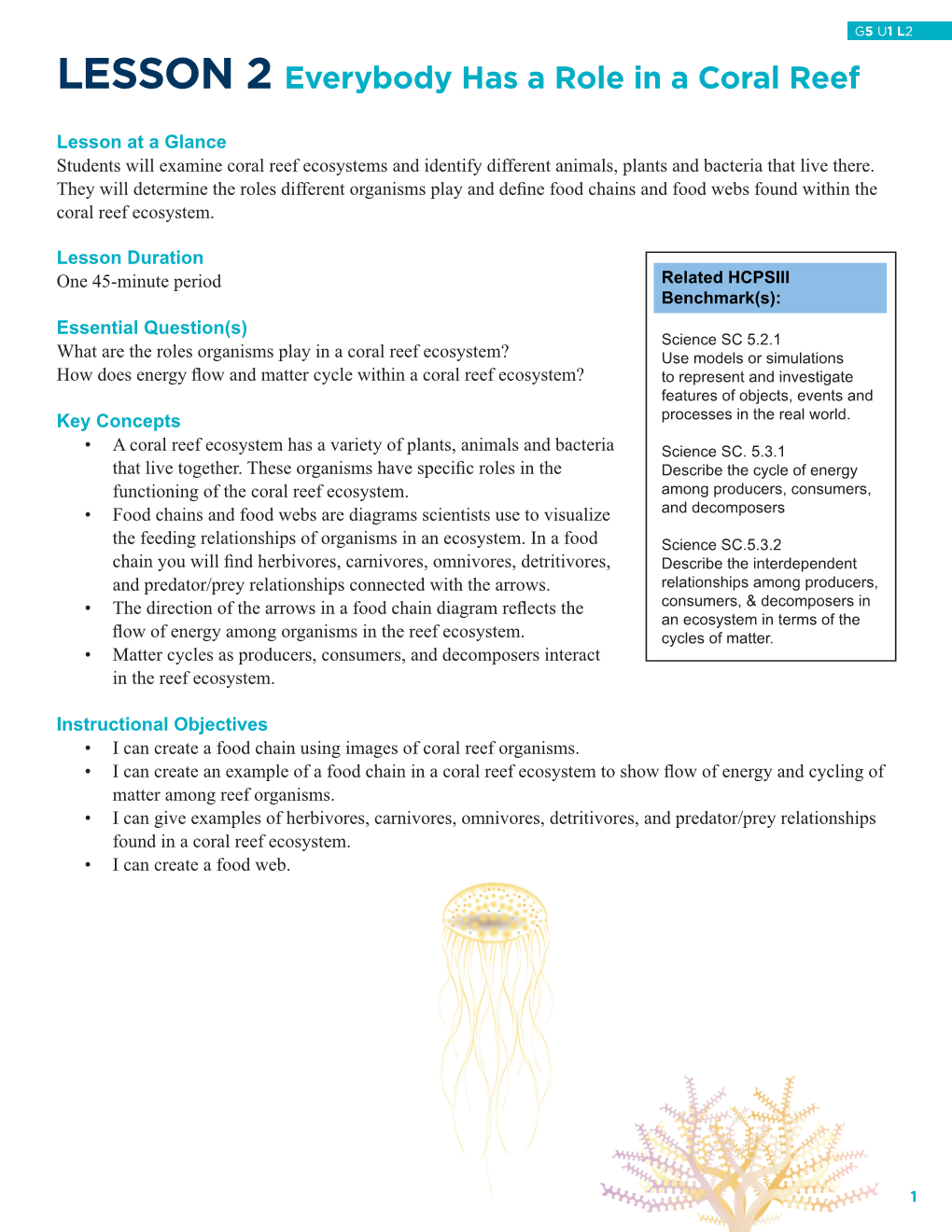 Lesson 2 Everybody Has a Role in a Coral Reef
