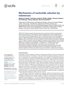 Mechanisms of Nucleotide Selection by Telomerase