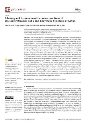 Cloning and Expression of Levansucrase Gene of Bacillus Velezensis BM-2 and Enzymatic Synthesis of Levan