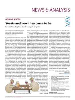 Yeasts and How They Came to Be Sara Calhoun, Stephen J