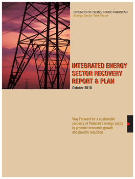 Integrated Energy Sector Recovery Report and Plan