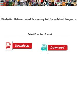 Similarities Between Word Processing and Spreadsheet Programs