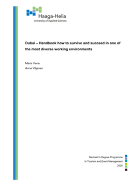 Dubai – Handbook How to Survive and Succeed in One of the Most Diverse Working Environments