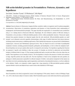 Sir-Actin-Labelled Granules in Foraminifera