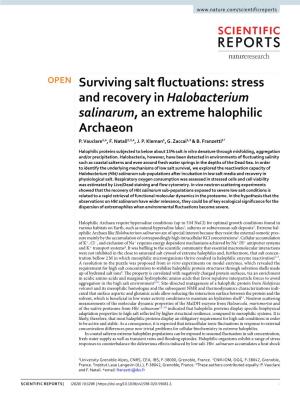 Surviving Salt Fluctuations: Stress and Recovery in Halobacterium Salinarum, an Extreme Halophilic Archaeon