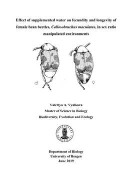 Effect of Supplemented Water on Fecundity and Longevity of Female Bean Beetles, Callosobruchus Maculatus, in Sex Ratio Manipulated Environments