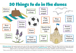30 Things to Do in the Dunes