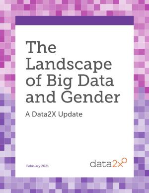 The Landscape of Big Data and Gender a Data2x Update