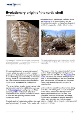 Evolutionary Origin of the Turtle Shell 30 May 2013