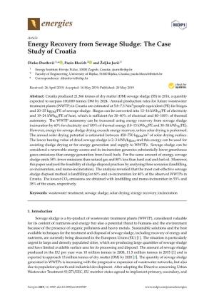 Energy Recovery from Sewage Sludge: the Case Study of Croatia