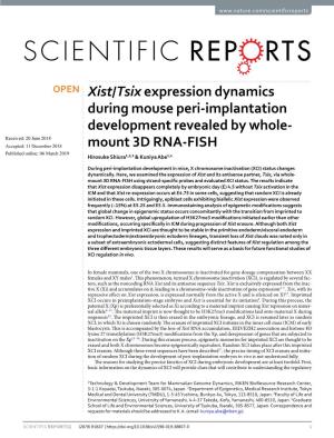 Xist/Tsix Expression Dynamics During Mouse Peri-Implantation
