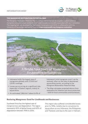 A Bright Spot Story of Mangrove Restoration in Indonesia © 2014 Carlton Ward for the Nature Conservancy Nature the for Ward Carlton © 2014