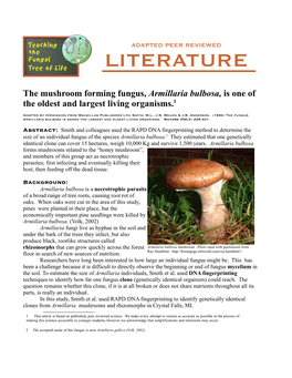 The Mushroom Forming Fungus, Armillaria Bulbosa, Is One of the Oldest and Largest Living Organisms.1