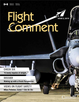 Views on Flight Safety Check Six Dossier