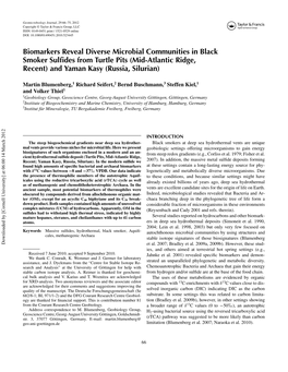 Biomarkers Reveal Diverse Microbial Communities in Black Smoker Sulfides from Turtle Pits