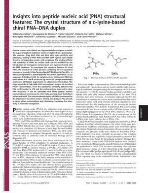 The Crystal Structure of a D-Lysine-Based Chiral PNA–DNA Duplex