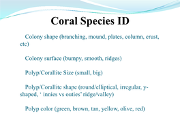 Coral Species ID