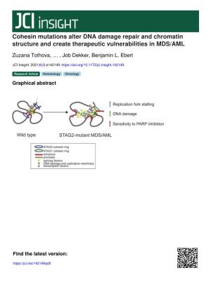 Cohesin Mutations Alter DNA Damage Repair and Chromatin Structure and Create Therapeutic Vulnerabilities in MDS/AML