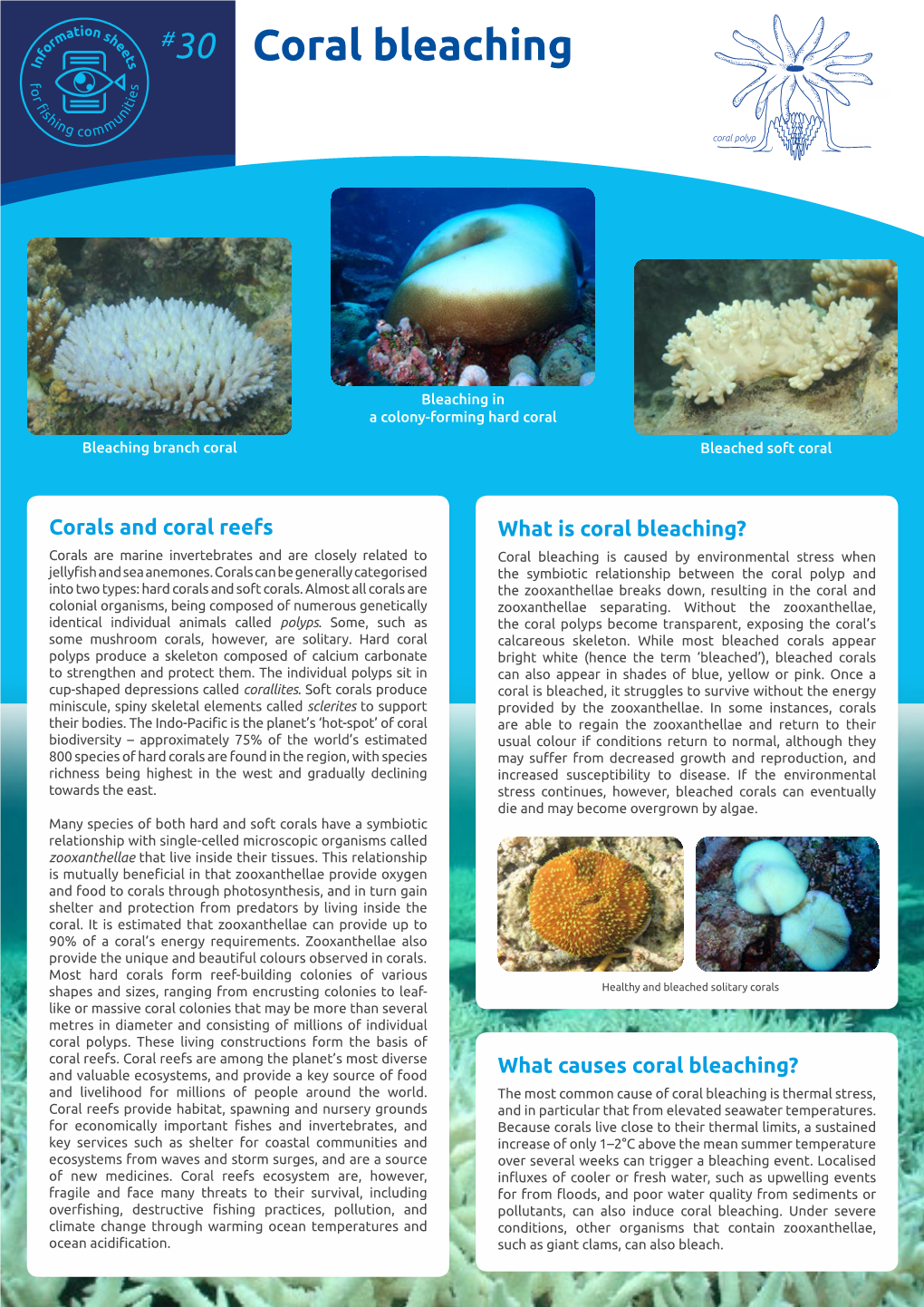 Information Sheet 30: Coral Bleaching