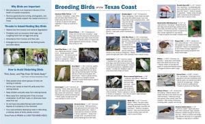 Breeding Birds of the Texas Coast
