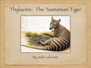 Thylacine: the Tasmanian Tiger