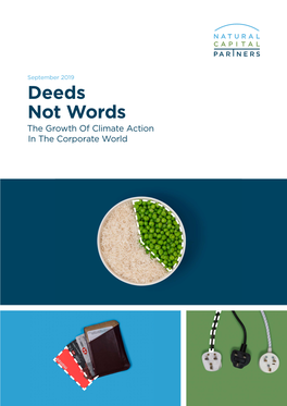 Deeds Not Words: the Growth of Climate Action