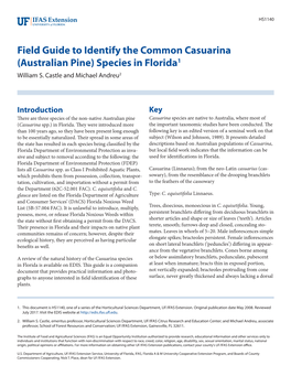Field Guide to Identify the Common Casuarina (Australian Pine) Species in Florida1 William S