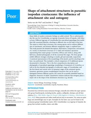 Shape of Attachment Structures in Parasitic Isopodan Crustaceans: the Inﬂuence of Attachment Site and Ontogeny