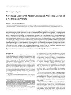 Cerebellar Loops with Motor Cortex and Prefrontal Cortex of a Nonhuman Primate