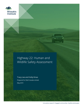 Highway 22: Human and Wildlife Safety Assessment