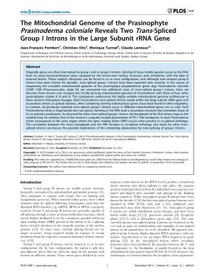 Prasinoderma Coloniale Reveals Two Trans-Spliced Group I Introns in the Large Subunit Rrna Gene