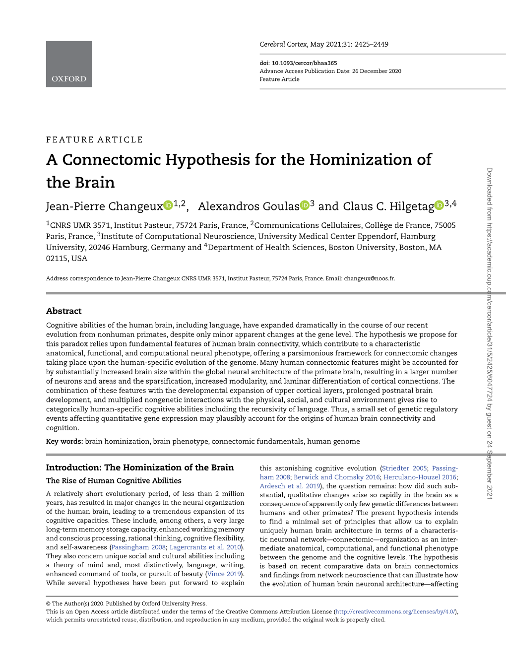 A Connectomic Hypothesis for the Hominization of the Brain