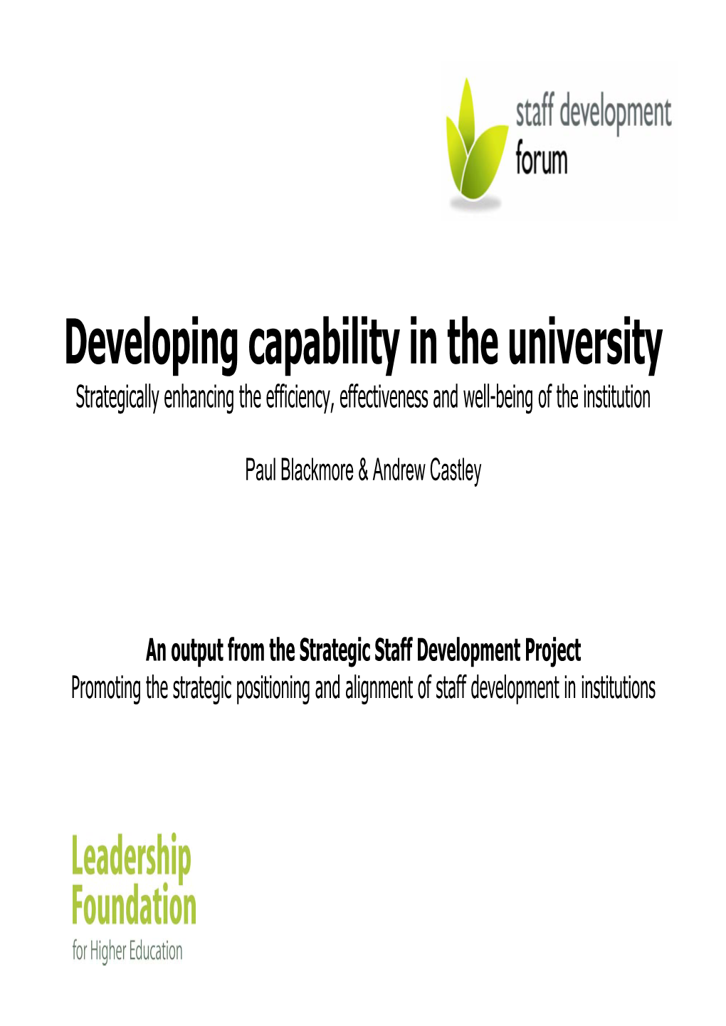 Developing Capability in the University Strategically Enhancing the Efficiency, Effectiveness and Well-Being of the Institution