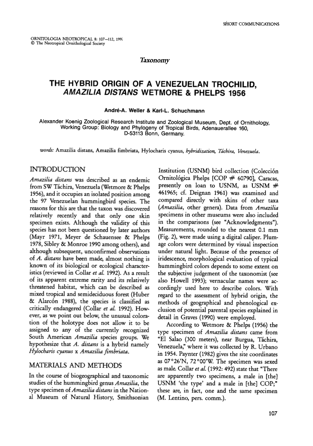 THE HYBRID ORIGIN of a VENEZUELAN Trochllid, AMAZILIA DISTANS WETMORE & PHELPS 1956