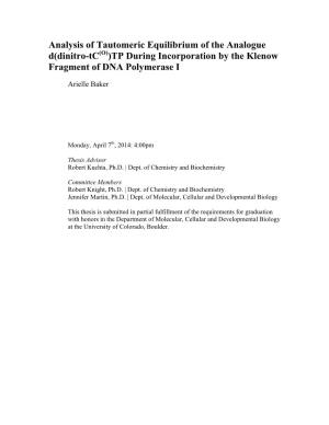 Analysis of Tautomeric Equilibrium of the Analogue D(Dinitro-Tc(O))TP During Incorporation by the Klenow Fragment of DNA Polymerase I