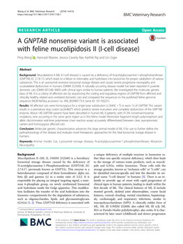 A GNPTAB Nonsense Variant Is Associated with Feline Mucolipidosis II (I-Cell Disease) Ping Wang* , Hamutal Mazrier, Jessica Caverly Rae, Karthik Raj and Urs Giger