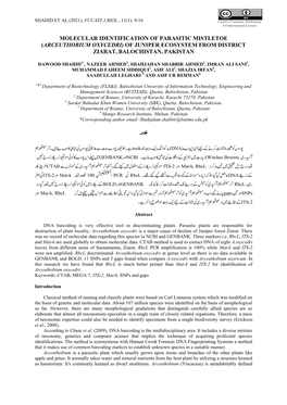 Arceuthobium Oxycedri) of Juniper Ecosystem from District Ziarat, Balochistan, Pakistan