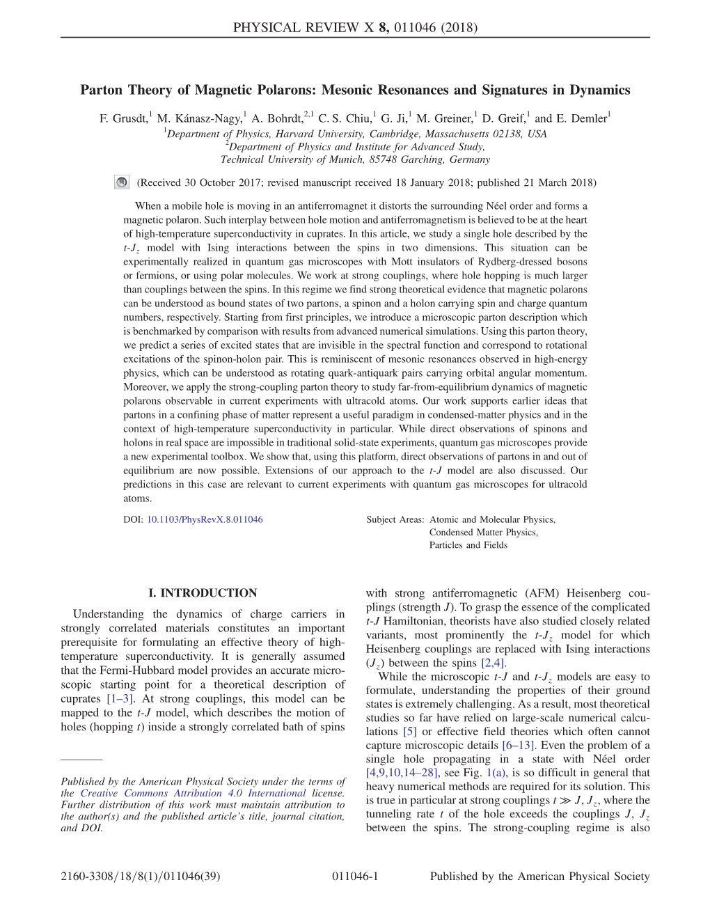 Parton Theory of Magnetic Polarons: Mesonic Resonances and Signatures in Dynamics