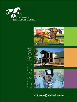 2012-2013 Report 2012-2013 Center Research Orthopaedic