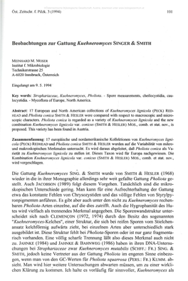 Beobachtungen Zur Gattung Kuehneromyces Slnger & SMITH
