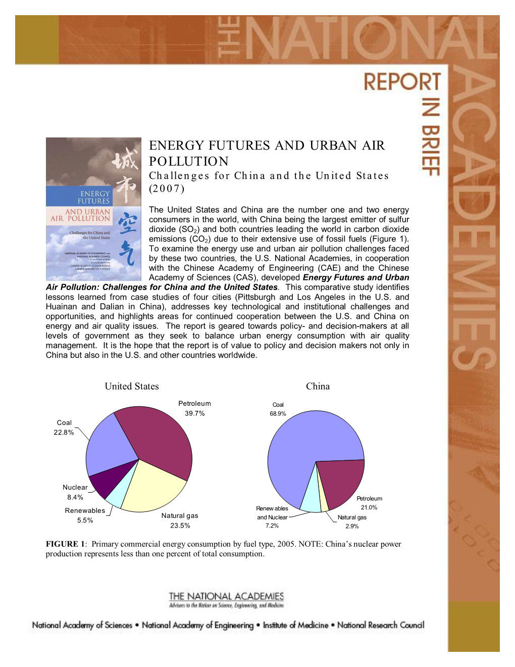 China Energy Report Brief